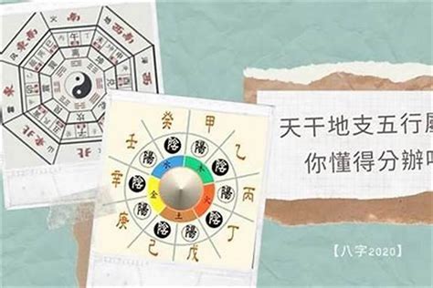 什么样的八字子女孝顺_子女孝顺的八字特征,第11张