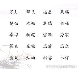 米姓男孩起名100分_姓米好听的男孩子,第3张