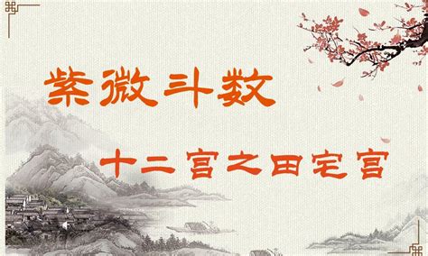 紫薇命盘详解(免费版)_个人紫薇命盘详解(免费版),第17张