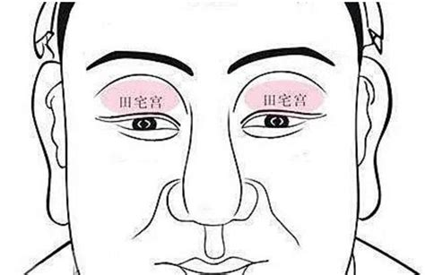 紫薇斗数准吗_紫薇斗数十二宫,第15张 紫薇斗数准吗_紫薇斗数十二宫,第15张