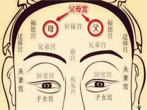 紫薇斗数准吗_紫薇斗数十二宫,第17张 紫薇斗数准吗_紫薇斗数十二宫,第17张