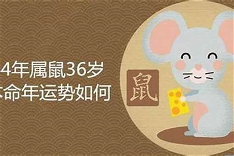 甲子年五行属什么_甲子年出生的人是什么命,第7张