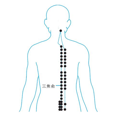 十二时辰对照表脏腑_十二时辰对照表脏腑经络走向,第16张