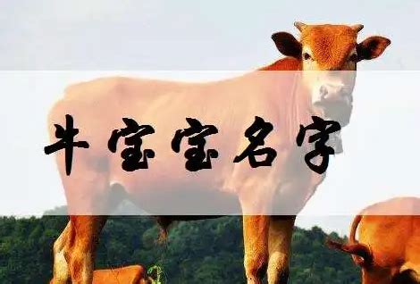 牛宝宝取什么名字好听_2021宝宝起名大全免费,第2张