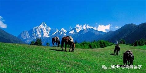 八字财旺身弱的男人命好吗_八字财旺身弱的男人能发财吗,第4张 八字财旺身弱的男人命好吗_八字财旺身弱的男人能发财吗,第4张