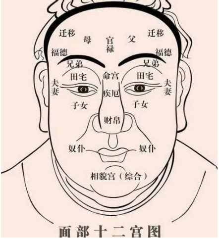 紫薇斗数准吗_紫薇斗数十二宫,第7张 紫薇斗数准吗_紫薇斗数十二宫,第7张