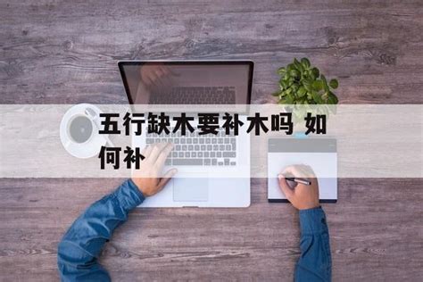 八字五行喜木什么意思_八字五行喜木应该取什么名字,第7张