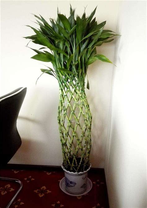 五行缺土的人佩戴什么饰品比较好_五行缺土的人佩戴什么好,第10张 五行缺土的人佩戴什么饰品比较好_五行缺土的人佩戴什么好,第10张