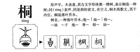 桐字取名的寓意_虎宝宝桐字取名的寓意,第4张