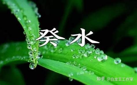 壬水见七杀必成大器_壬水见七杀羊刃,第11张