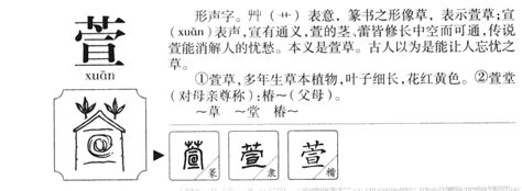 萱字取名的含义_萱字取名的含义女孩,第4张