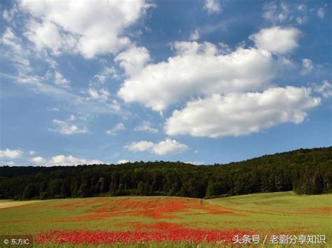 竣字取名的寓意是什么_竣字取名的寓意男孩,第9张