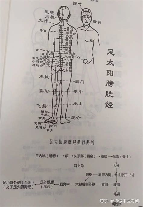 十二时辰对照表脏腑_十二时辰对照表脏腑经络走向,第18张