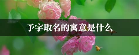 予字取名的寓意_予字取名的寓意女孩,第5张