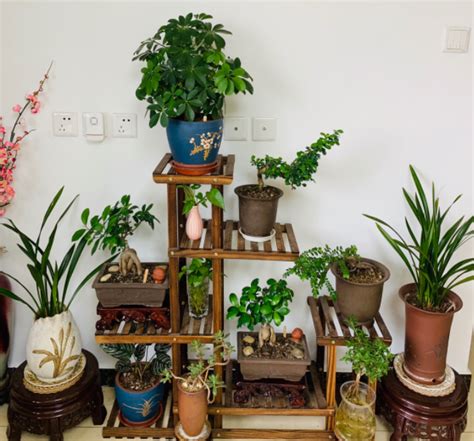 五行缺土的人佩戴什么饰品比较好_五行缺土的人佩戴什么好,第11张 五行缺土的人佩戴什么饰品比较好_五行缺土的人佩戴什么好,第11张