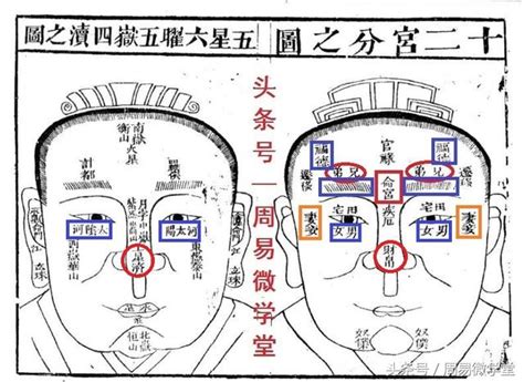 什么样的八字子女孝顺_子女孝顺的八字特征,第5张