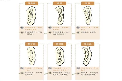 命好有福气的男人_什么样的男人最有福气,第24张 命好有福气的男人_什么样的男人最有福气,第24张