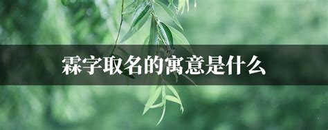 霖字取名的寓意_霖字取名的寓意女孩,第5张