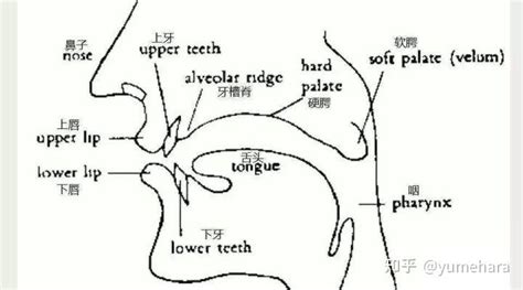 五行属水有涵养的字男孩_五行属水有涵养的名字男孩,第20张