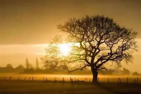 八字流年详批解读_四柱八字流年详批,第15张 八字流年详批解读_四柱八字流年详批,第15张