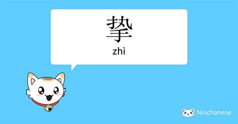 志字五行属什么_志字五行属什么寓意,第11张