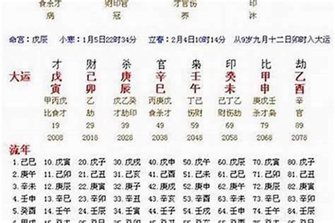 比劫在时、日、月、年柱详解_年柱比劫是什么意思,第6张