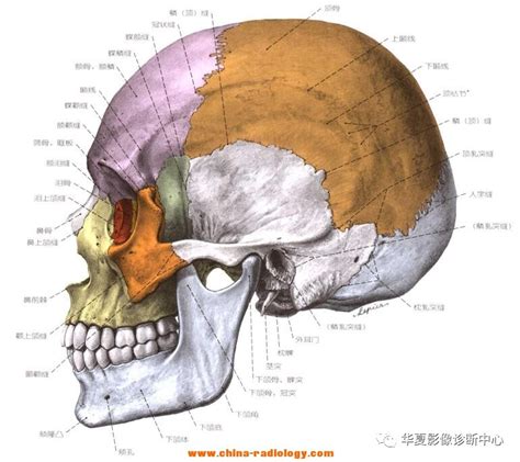 女人身上有仙家的好处_保家仙分明堂和暗堂吗,第7张