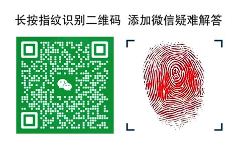 八字十天干信息歌诀_天干地支配脏腑口诀大全,第7张