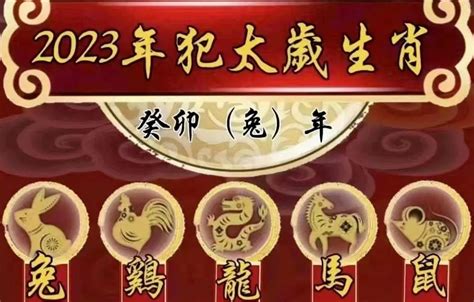 有贵气的男命八字_男生有贵气的八字,第13张