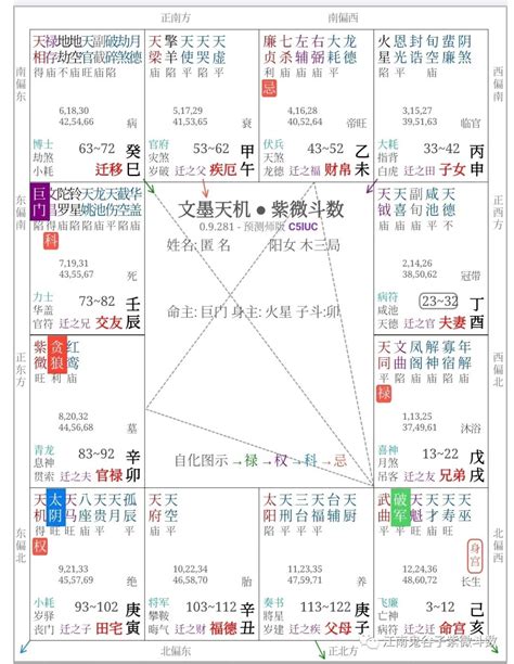 紫薇命盘免费_紫薇命盘解读教学,第11张