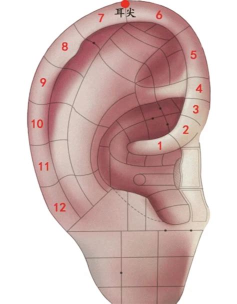 命好有福气的男人_什么样的男人最有福气,第8张 命好有福气的男人_什么样的男人最有福气,第8张