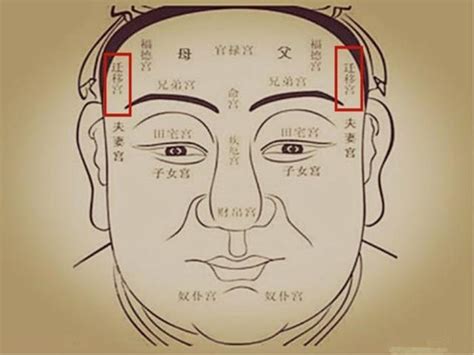 紫薇命盘详解(免费版)_个人紫薇命盘详解(免费版),第14张