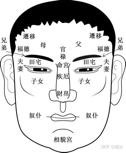 紫薇命盘详解(免费版)_个人紫薇命盘详解(免费版),第15张