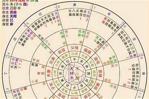 中国紫薇斗数排盘_文墨天机紫薇斗数排盘,第2张