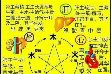 五行缺火最吉利简单好听的字_五行缺火最吉利的名字,第15张