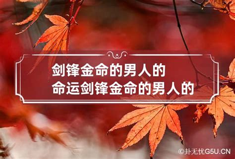 剑锋金命的女人的命运_剑锋金命的男人的命运,第8张