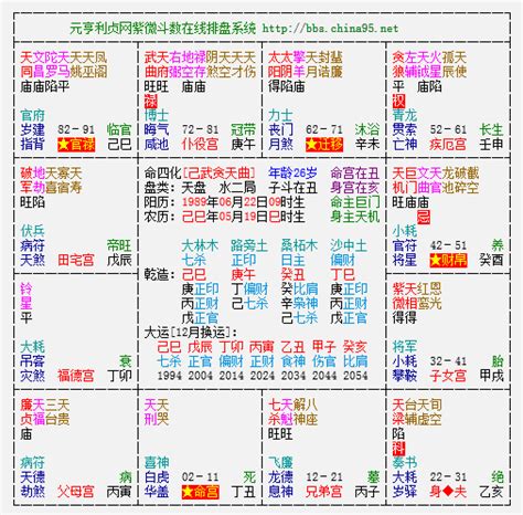 在线紫薇排盘_在线紫薇斗数排盘分析,第11张