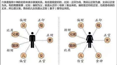 什么样的八字子女孝顺_子女孝顺的八字特征,第16张