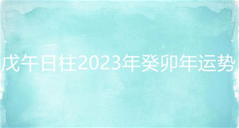 戊午日柱2023年癸卯年运势_戊午日柱走什么大运好,第2张