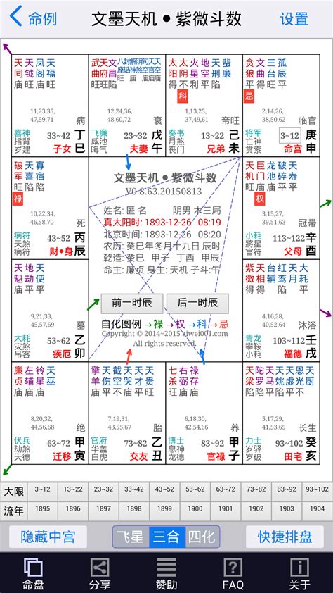 中国紫薇斗数排盘_文墨天机紫薇斗数排盘,第4张