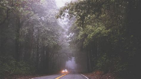 梦见迷路了还向人问路有什么预兆_梦见自己迷路了找人问路是什么意思,第3张