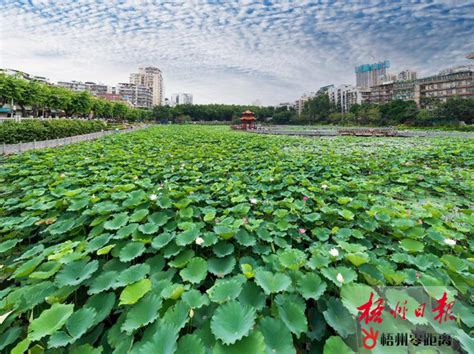 八字五行喜土什么意思_八字五行喜土应该取什么名字,第18张