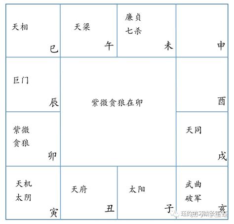 紫微命盘_紫微命盘查询免费算命,第2张