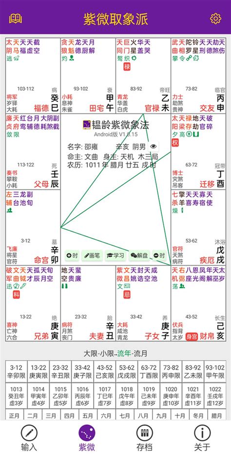 紫微命盘分析_紫微命盘解读,第6张