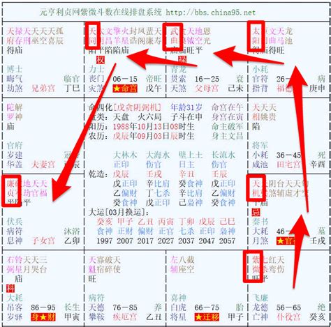 紫微斗数排盘算命_紫微斗数排盘方法,第5张