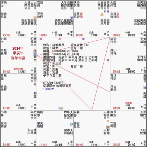 紫微教程_紫微流年命盘,第8张