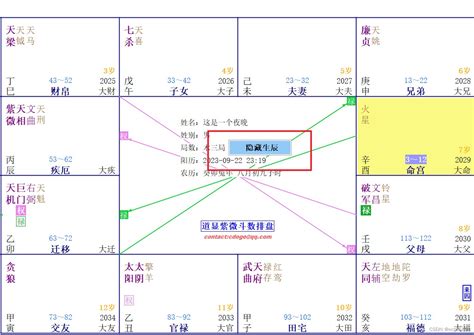 飞星紫微斗数排盘_紫微飞星排盘,第9张