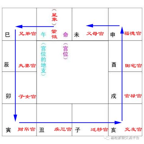 紫薇斗数准吗_紫薇斗数十二宫,第4张