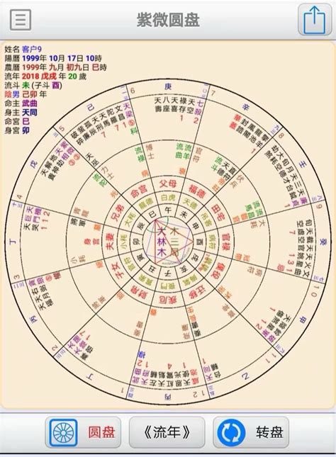 解读紫薇命盘_紫薇斗数在线排盘流月,第9张