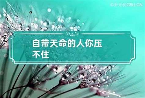 自带天命的人你压不住_自带天命的人你根本压不住她,第2张